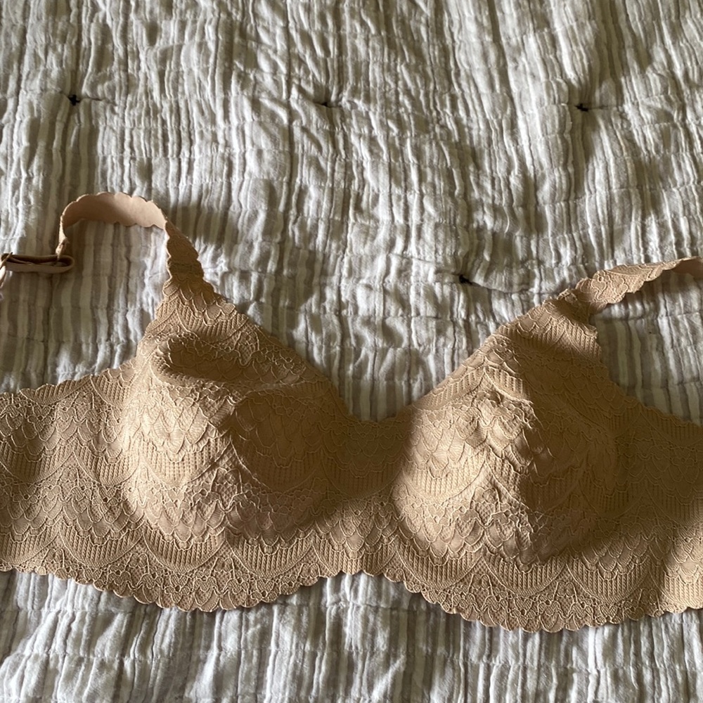 Bra 36C